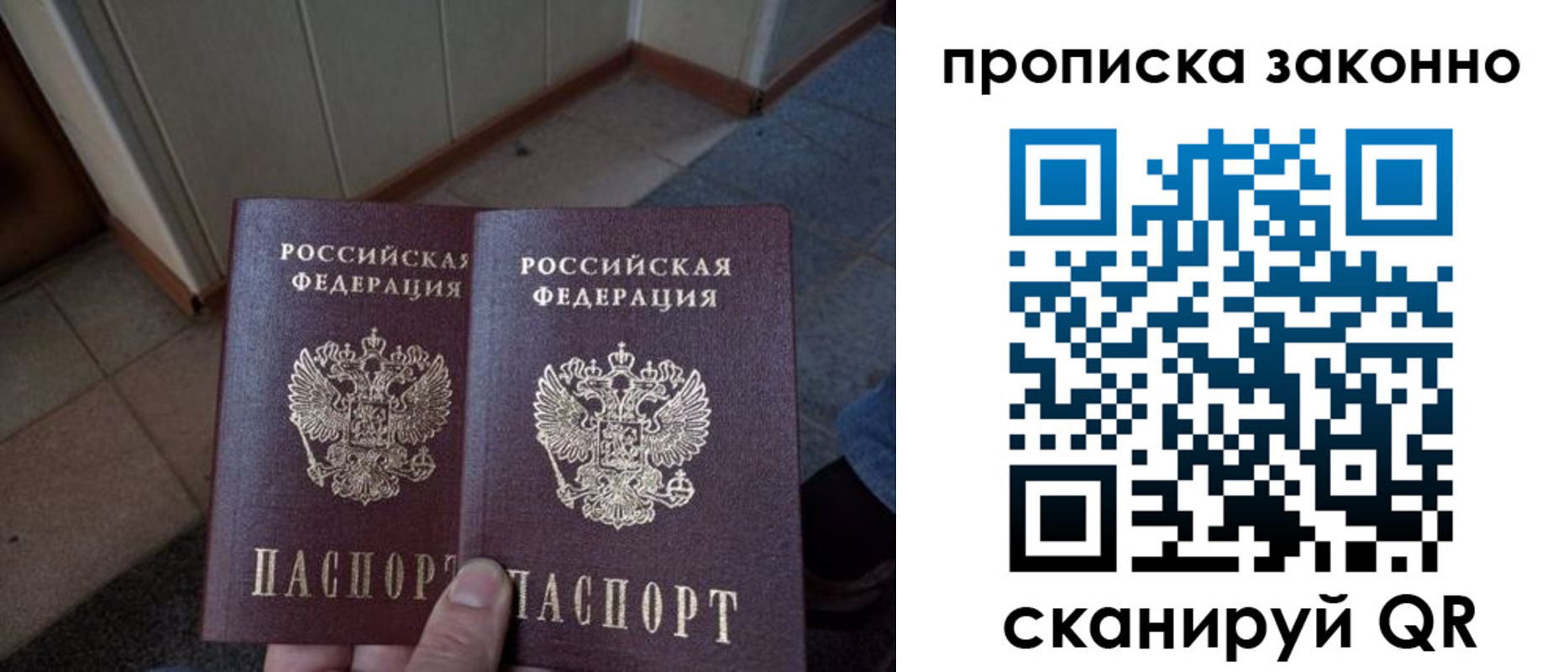 регистрация для школы в Брянской области